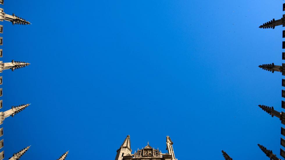 Looking up at the roofline of the Bodleian Library silhouetted against the sky