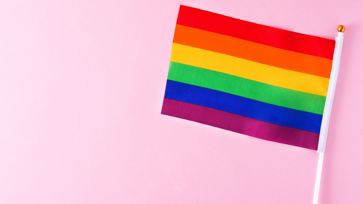rainbow flag.png