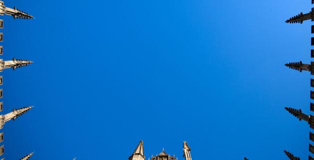 Looking up at the roofline of the Bodleian Library silhouetted against the sky