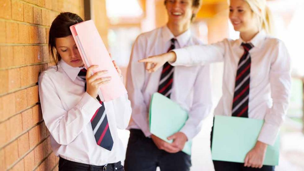 Bullying at School